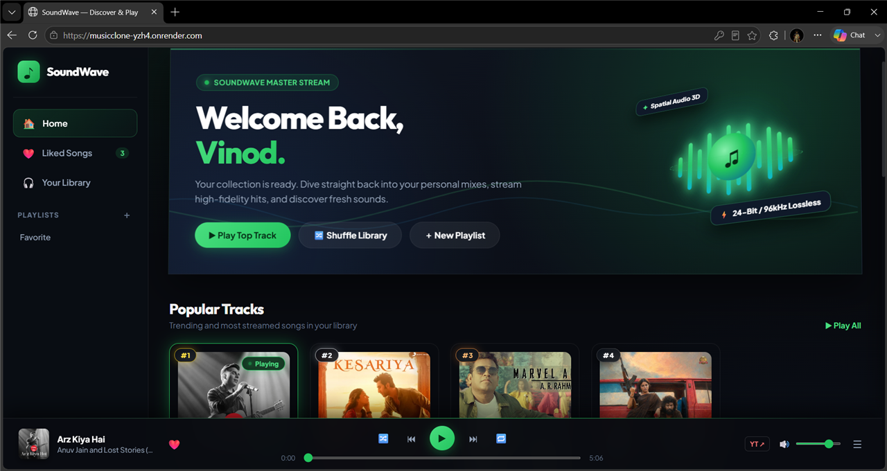 SoundWave project screenshot